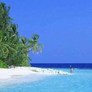 Meet your Posher, Juan